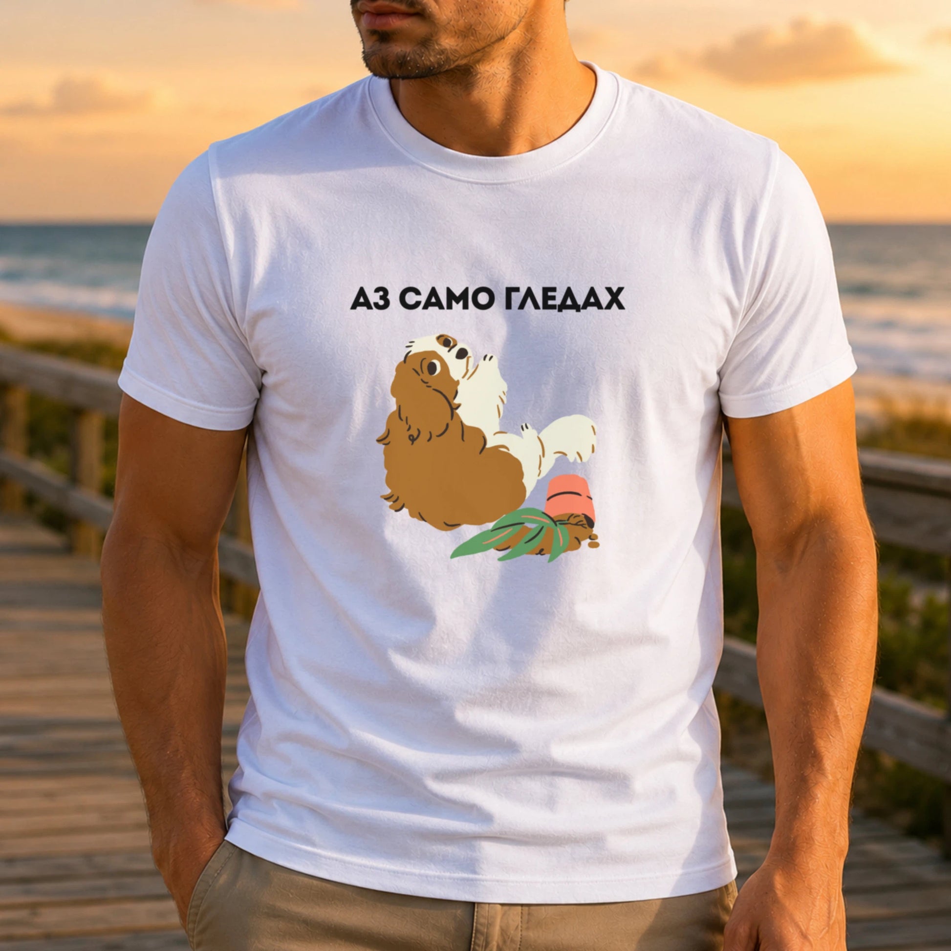 Аз само гледах